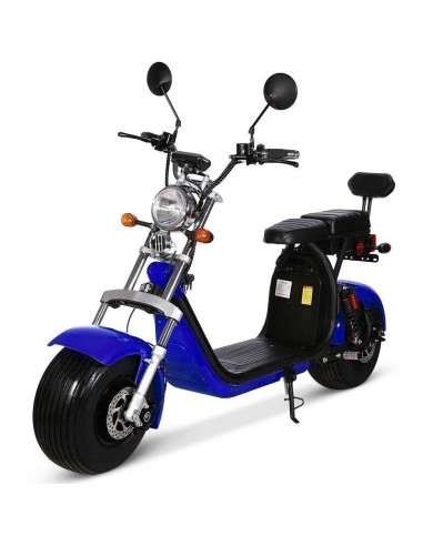Electric skateboard HARLEY new model