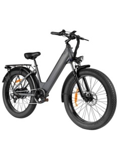 BICICLETA ELECTRICA 250W EB11 2