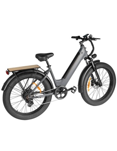 ELECTRIC BICYCLE 250W EB11