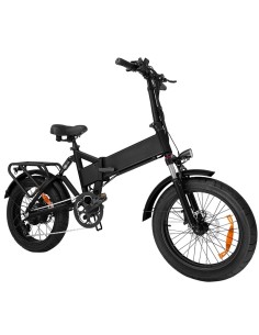 ELECTRIC BICYCLE 250W EB3 2