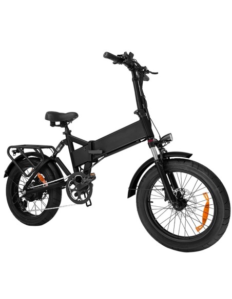 ELECTRIC BICYCLE 250W EB3