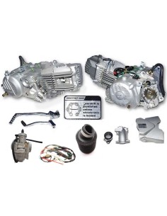 Engine zs212cc 2v Assy
