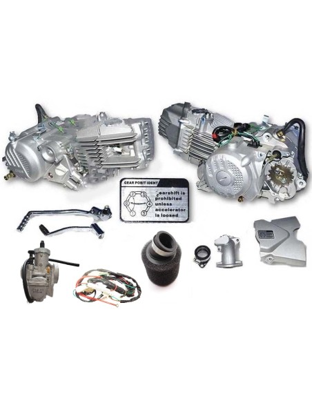 Engine zs212cc 2v Assy