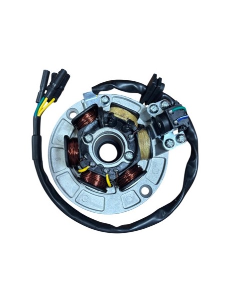 Magneto assy yx160