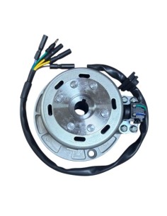 Magneto assy yx160