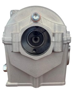 Culata zs450 2