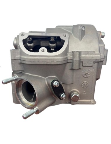 Culata zs450