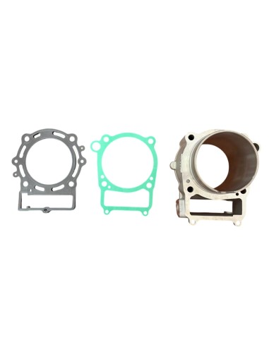 Cilindro con juntas zs450