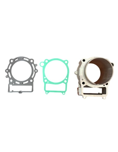 ZS450 Cylinder with Gaskets