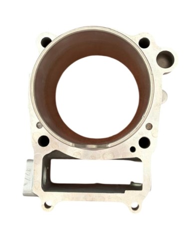 ZS450 Cylinder with Gaskets