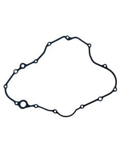 Motor crankcase gasket ZS450