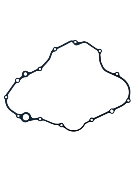 Motor crankcase gasket ZS450