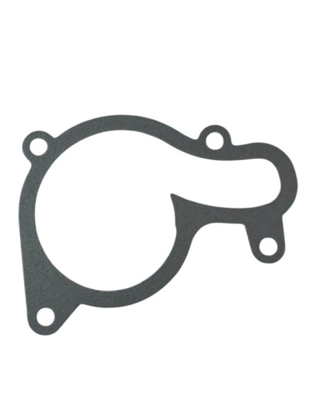 Water pump cover gasket for ZS450