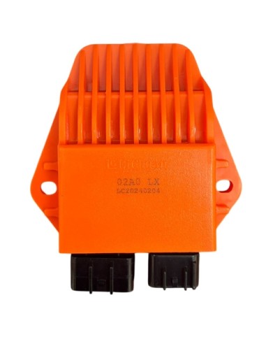 CDI for XZF 250R