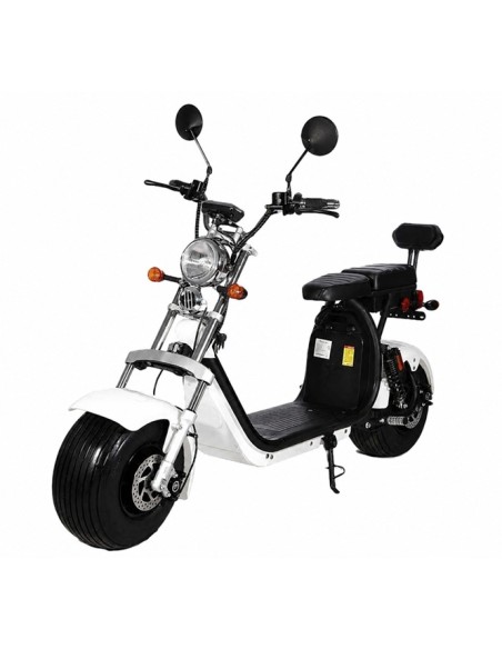 Electric skateboard HARLEY new model