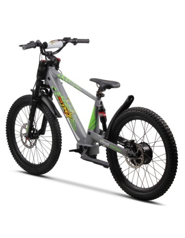 Electric BICYCLE 500W THUNDER PRO