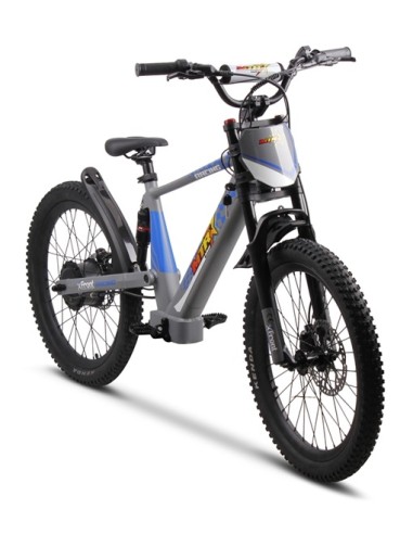 Electric BICYCLE 500W THUNDER PRO