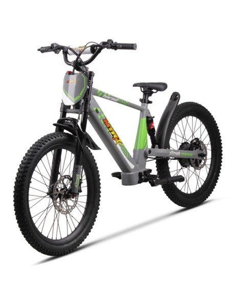Electric BICYCLE 500W THUNDER PRO
