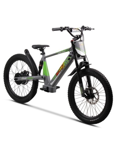 Electric BICYCLE 500W THUNDER PRO