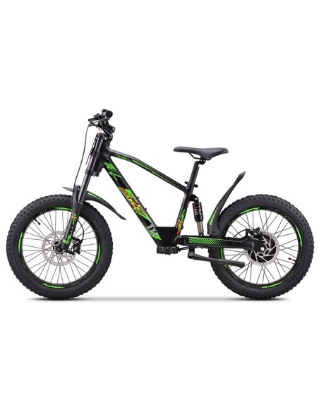 Electric BICYCLE 500W THUNDER PRO