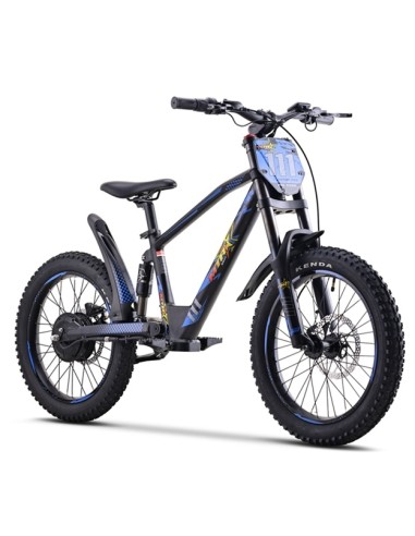 Electric BICYCLE 500W THUNDER PRO