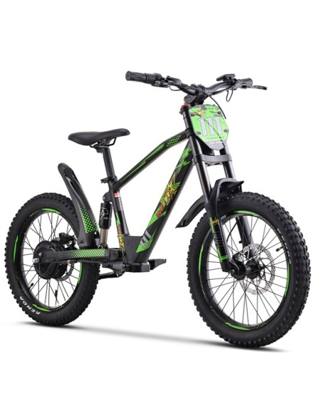 Electric BICYCLE 500W THUNDER PRO