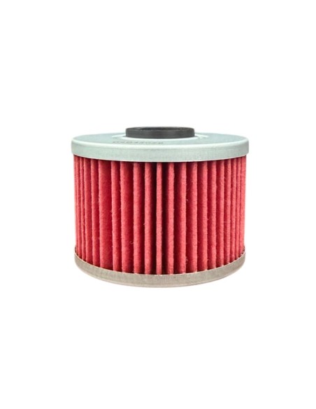 Filtro de aceite Enduro 300