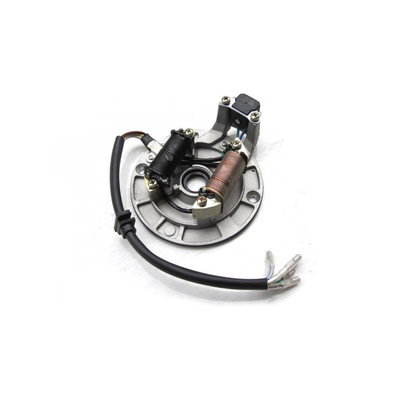 Encendido completo pit bike