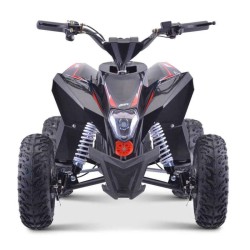 miniQuad electrico WR 1300 Litio 2