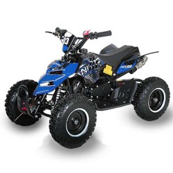 miniQuad NITRO REPTI 49cc R6 2