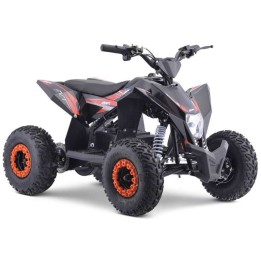 miniQuad electrico WR 1300 Litio