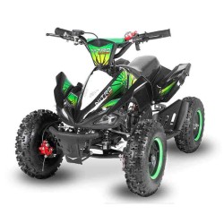 miniQuad NITRO PHYTON 49cc R6 2