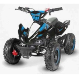 miniQuad NITRO PHYTON 49cc R6