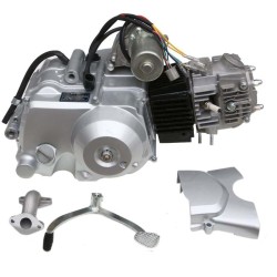 Motor 110 con marcha atras