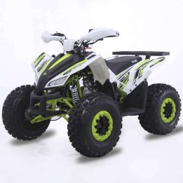 Quad 125cc ROAN COYOTE R8 Automático LED