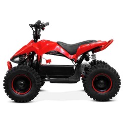 mini Quad NITRO PHYTON 1000w 36v R6 2