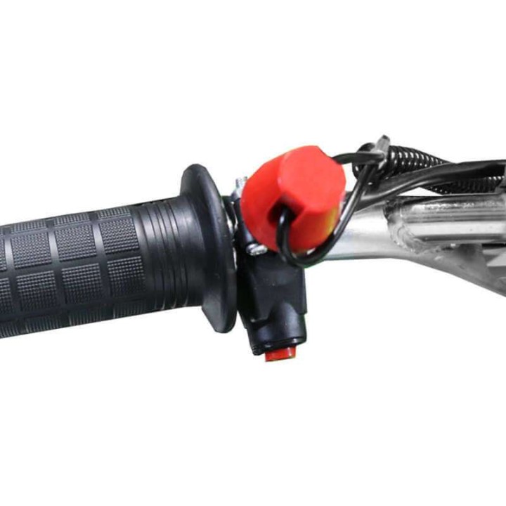 miniQuad Avenger Basic 49cc R6