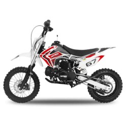 Pit Bike NITRO STORM 125cc V2 AUTO 14-12 2