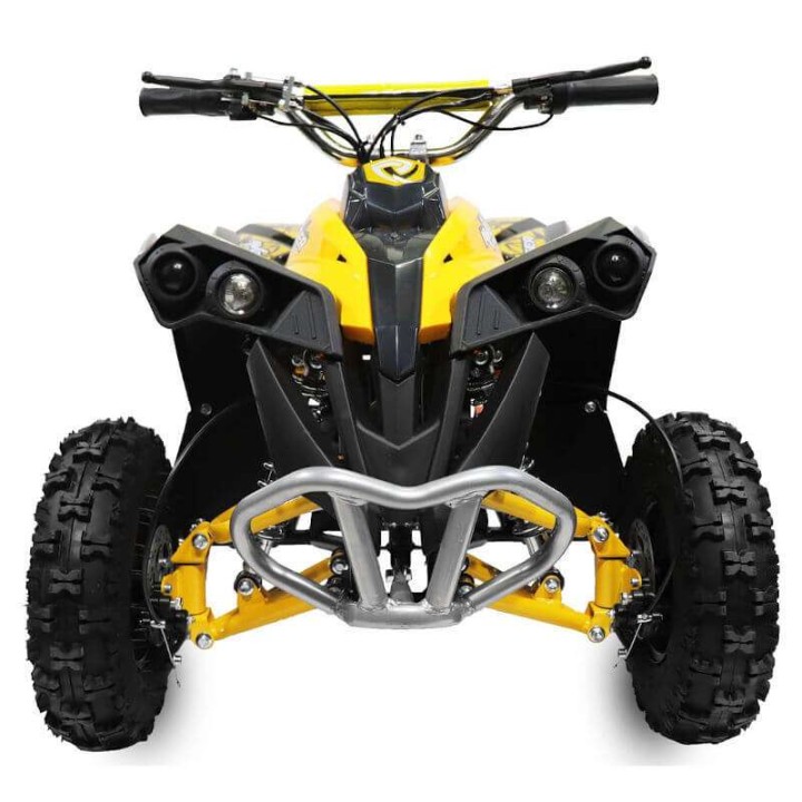 miniQuad NITRO AVENGER CARDAN 1200W R6