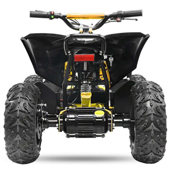 miniQuad NITRO AVENGER CARDAN 1200W R6