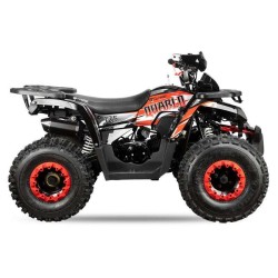 Quad 125cc NITRO QUABLO RS8 Platinum R8 2