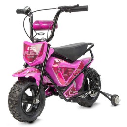 miniMoto ECO FLEET 300W