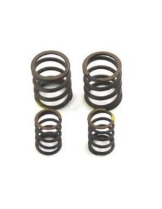 VALVE SPRINGS YX or ZS 