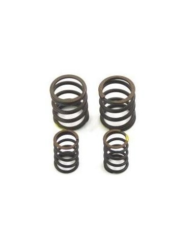 VALVE SPRINGS YX or ZS 