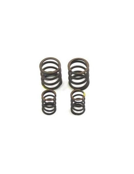 VALVE SPRINGS YX or ZS 
