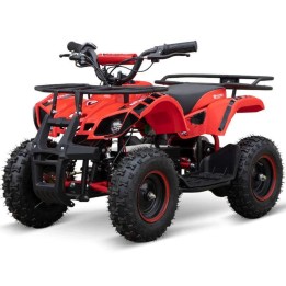 miniQuad TORINO 1000w 48v NITRO R6