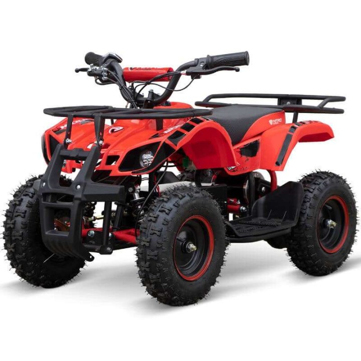 miniQuad TORINO 1000w 48v NITRO R6