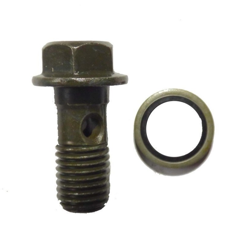 Tornillo radiador 10mm