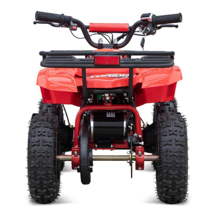 miniQuad TORINO 1000w 48v NITRO R6