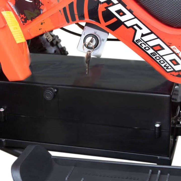 miniQuad TORINO 1000w 48v NITRO R6